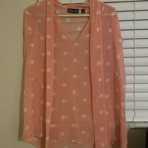 PRICE DROP Polka Dot Sheer Pink Top